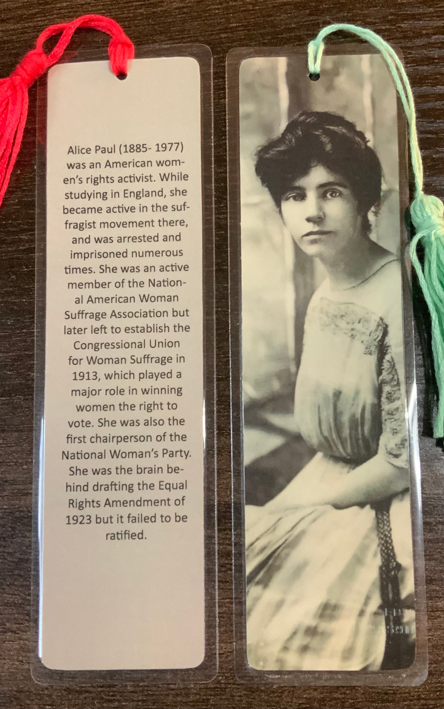 Bookmarks: The Feminists - Discounts for multiples