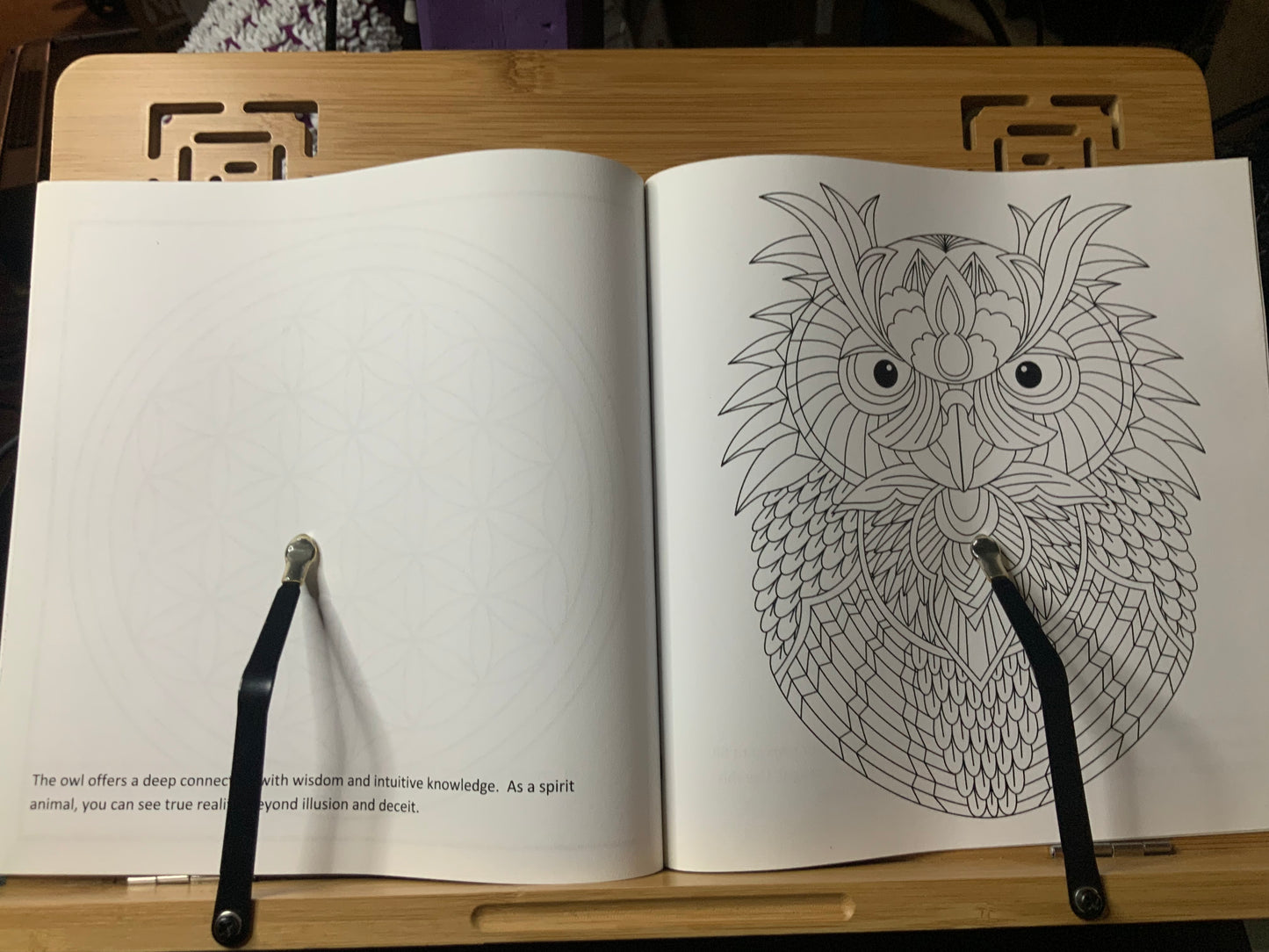 Coloring Meditations: Adult coloring book